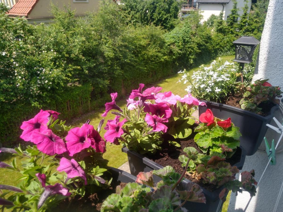 Apartament Olivia Centrum Z Zamknietym Parkingiem Gdansk Exterior photo